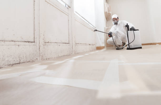 24/7 Emergency Basement Mold Remediation experts in Plantation, FL